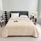 вариант: 02