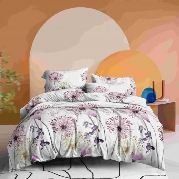 Бюджетна постільна білизна Ваш сон 32182 євро Бязь