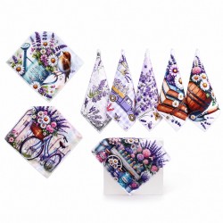 Набор кухонных салфеток из микрофибры 25x25см (32773)