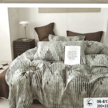 Постельное белье Евро размер с простынью на резинке Фланель (31996)