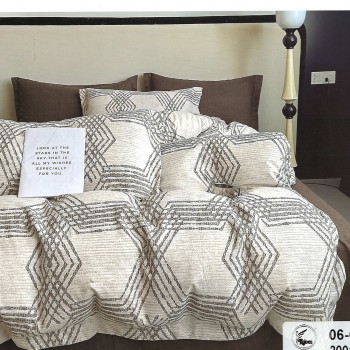 Постельное белье Евро размер с простынью на резинке Фланель (31998)