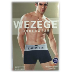 труси чоловічі *WEZEGE* (р.L/XL/2XL/3XL) 25919