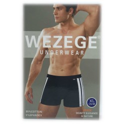 труси чоловічі *WEZEGE* (р.L/XL/2XL/3XL) 25922