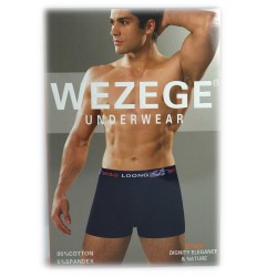труси чоловічі *WEZEGE* (р.L/XL/2XL/3XL) 25934