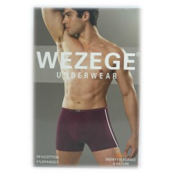 труси чоловічі *WEZEGE* (р.L/XL/2XL/3XL) 25938