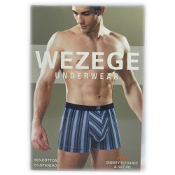 труси чоловічі *WEZEGE* (р.L/XL/2XL/3XL) 25947