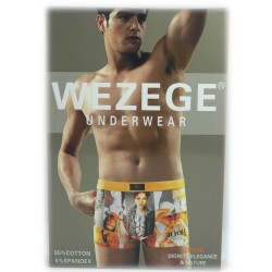 труси чоловічі *WEZEGE* (р.L/XL/2XL/3XL) 25965