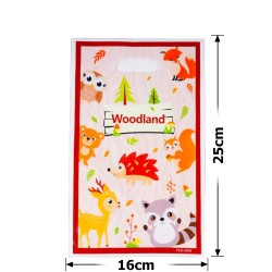 Набор подарочных целлофановых пакетов 25мкм 16x25см 10шт (31492)