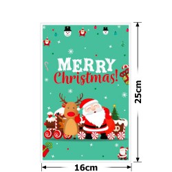 Набір подарункових целофанових пакетів 25мкм 16x25см 10шт (31509)